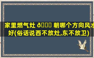 家里燃气灶 🐛 朝哪个方向风水好(俗话说西不放灶,东不放卫)